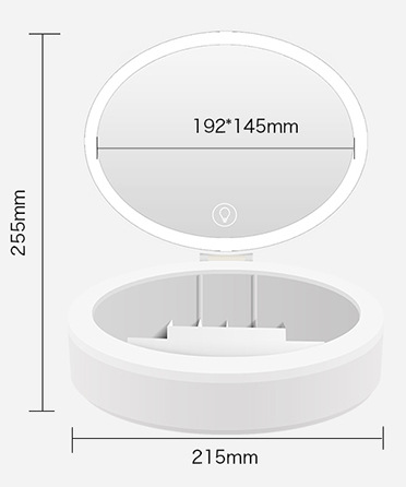 LED Makeup Mirror Desktop Girls Dormitory With Light Storage Box Home Decor